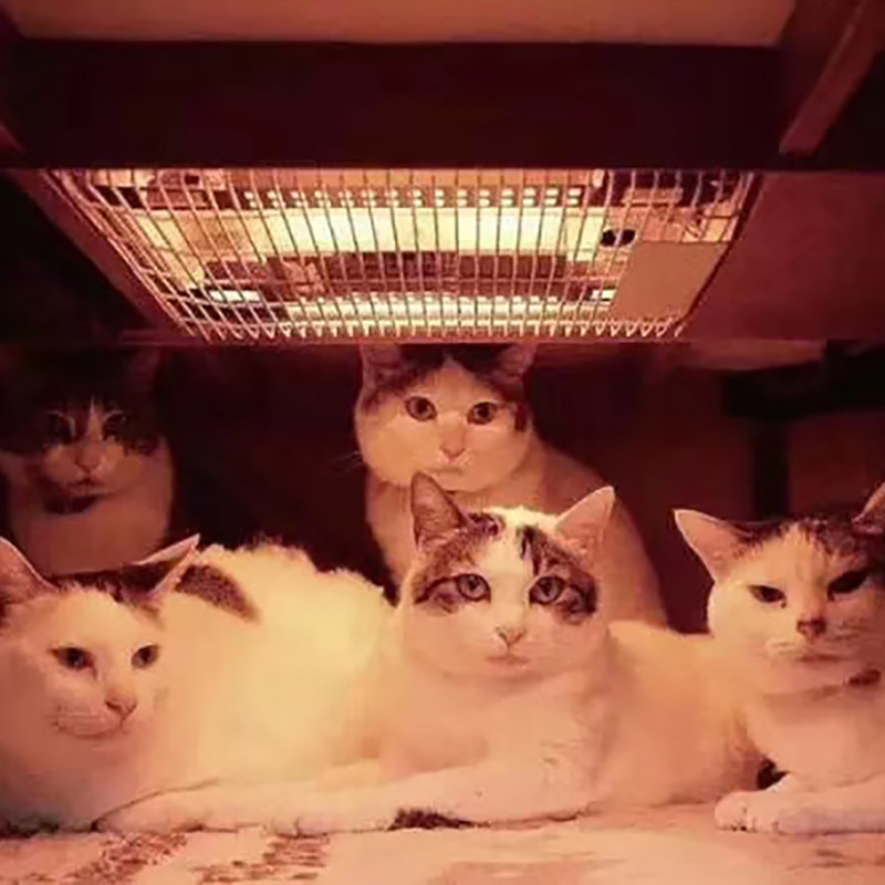 Kitchen Appliances In Japanese - Бытовая кухонная техника, которую можно сочетать